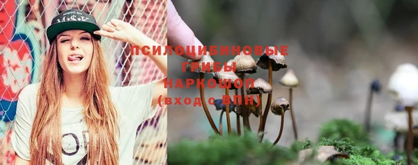 прущие грибы Алексин