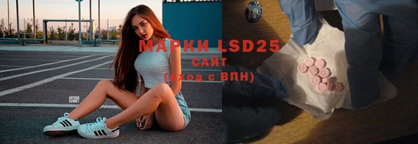 прущие грибы Алексин