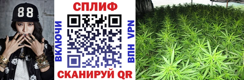 Марихуана ГИДРОПОН Каргат